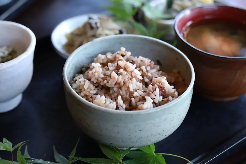 BASE for creates a personalized diet plan just for you.