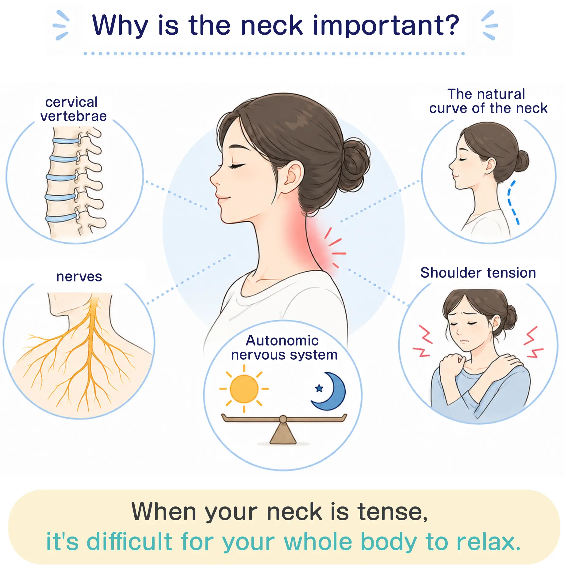 Why is the neck so important? When your neck is tense, it's difficult for your whole body to relax.