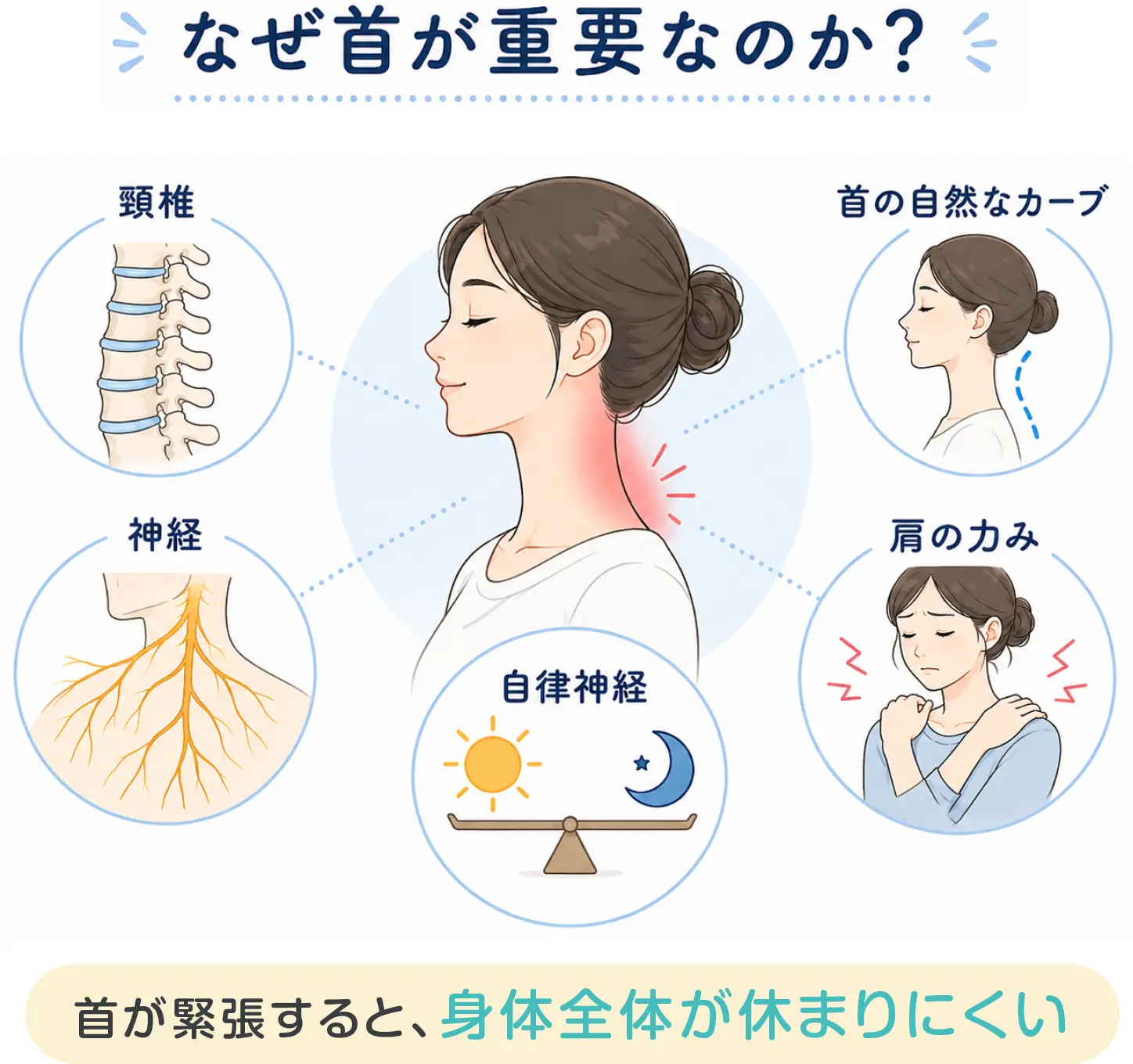 なぜ首が重要なのか？首が緊張すると、身体全体が休まりにくい。